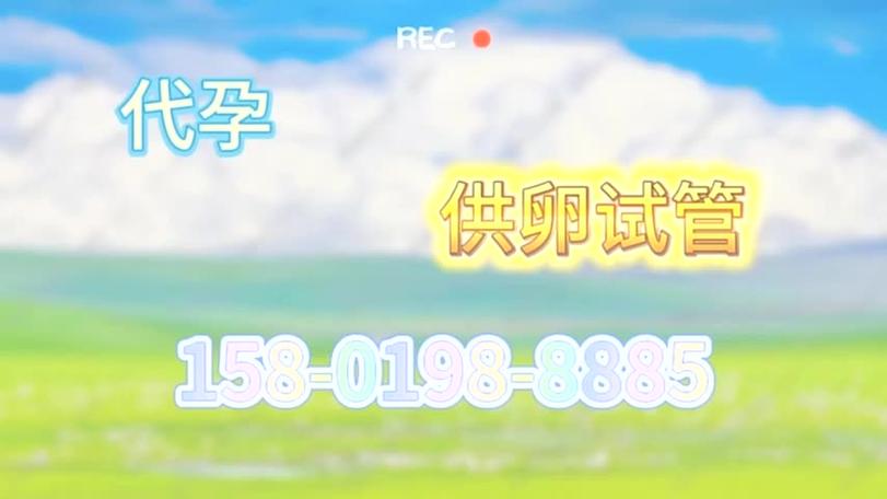 山东试管助孕平台